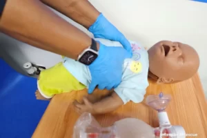 Blended Learning Adult and Pediatric First AidCPRAED Online Session